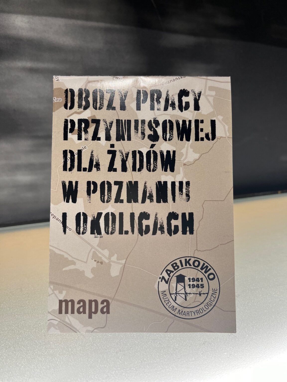 Obozy pracy przymusowej dla żydów w Poznaniu i okolicach. Mapa