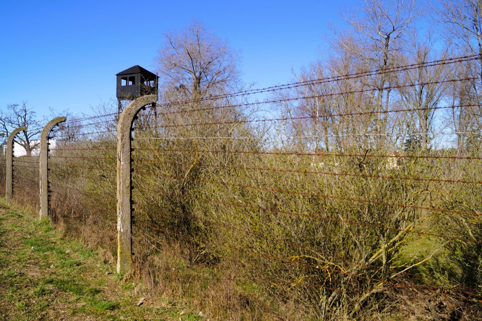 Ogrodzenie z drutu kolczastego biegnie przez trawiasty teren w pobliżu obóz karno-śledczy Żabikowo, z bezlistnymi drzewami i drewnianą wieżą strażniczą stojącą pod czystym błękitnym niebem.