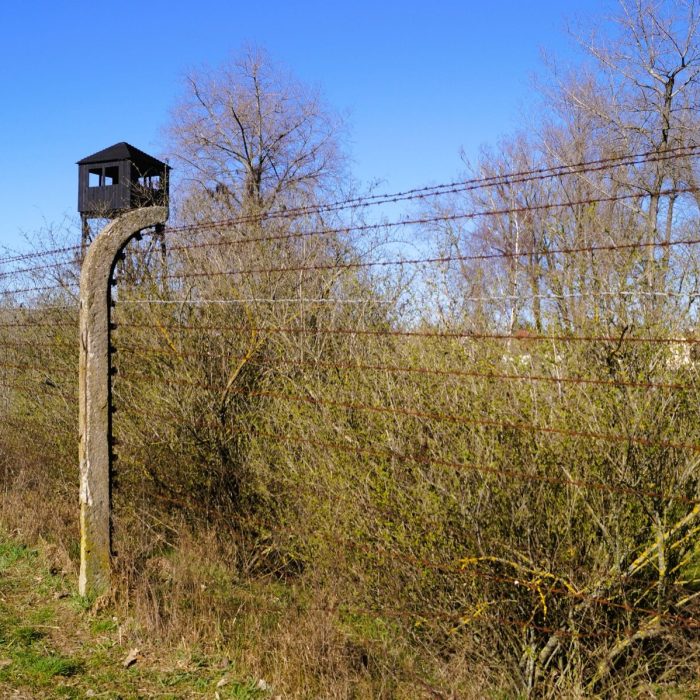 Bezpłatne oprowadzanie po terenie obozu karno-śledczego w Żabikowie