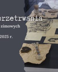 Sztuka przetrwania – warsztaty zimowe